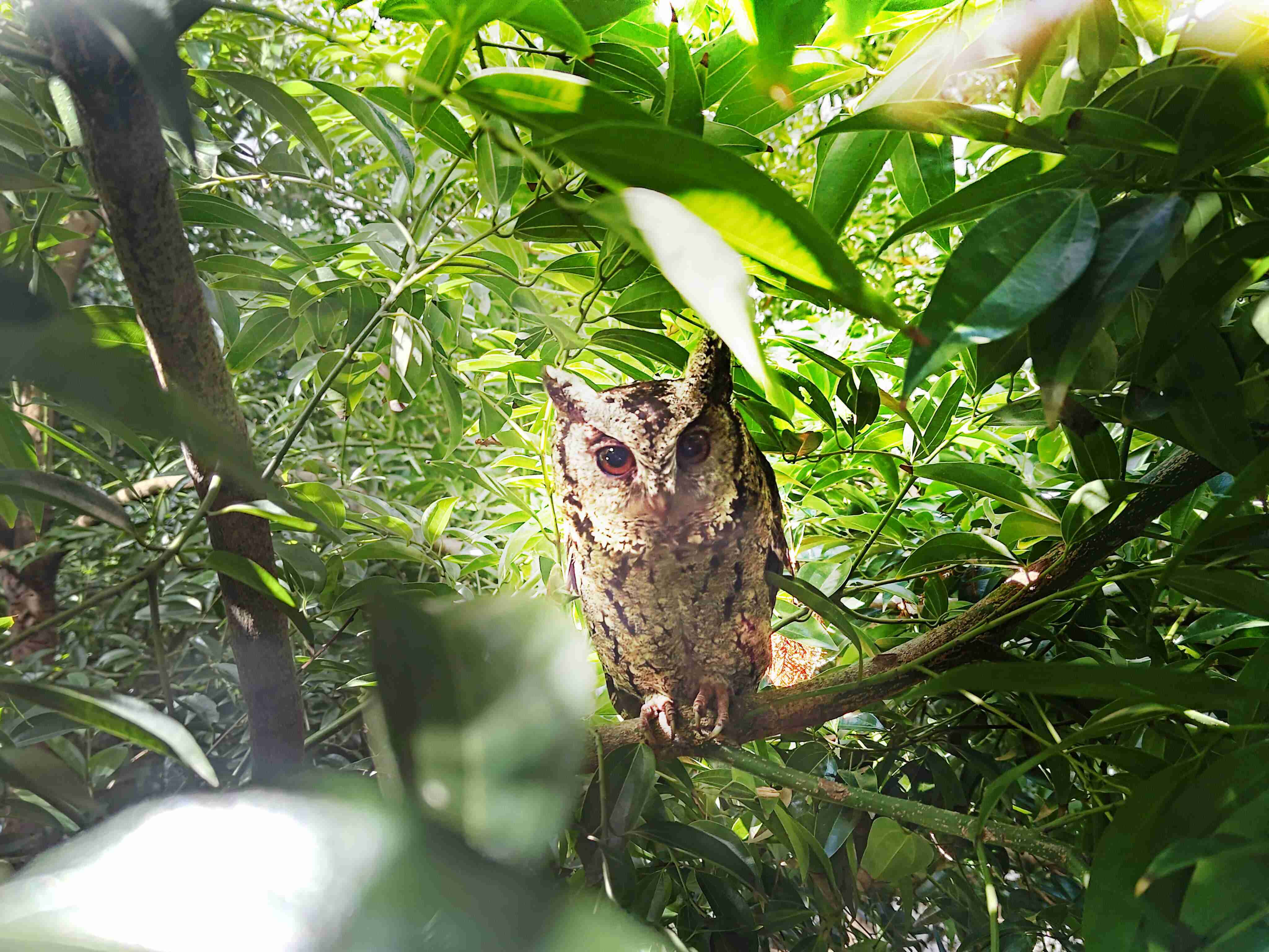 28国际致力提倡净零绿生活，，16年以来在全球各厂区植树逾百万棵，，，，造就各厂区树木蔚然成林，，犹如森林工厂，，成为许多生物的栖息地